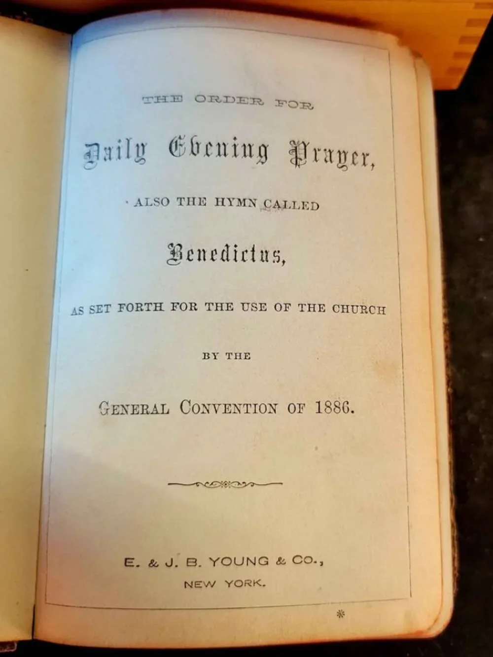 E. & J.B. Young & Co. antique leather